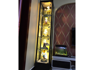 Model jewelry display cabinet-9